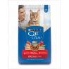 CAT CHOW CARNE 24KG