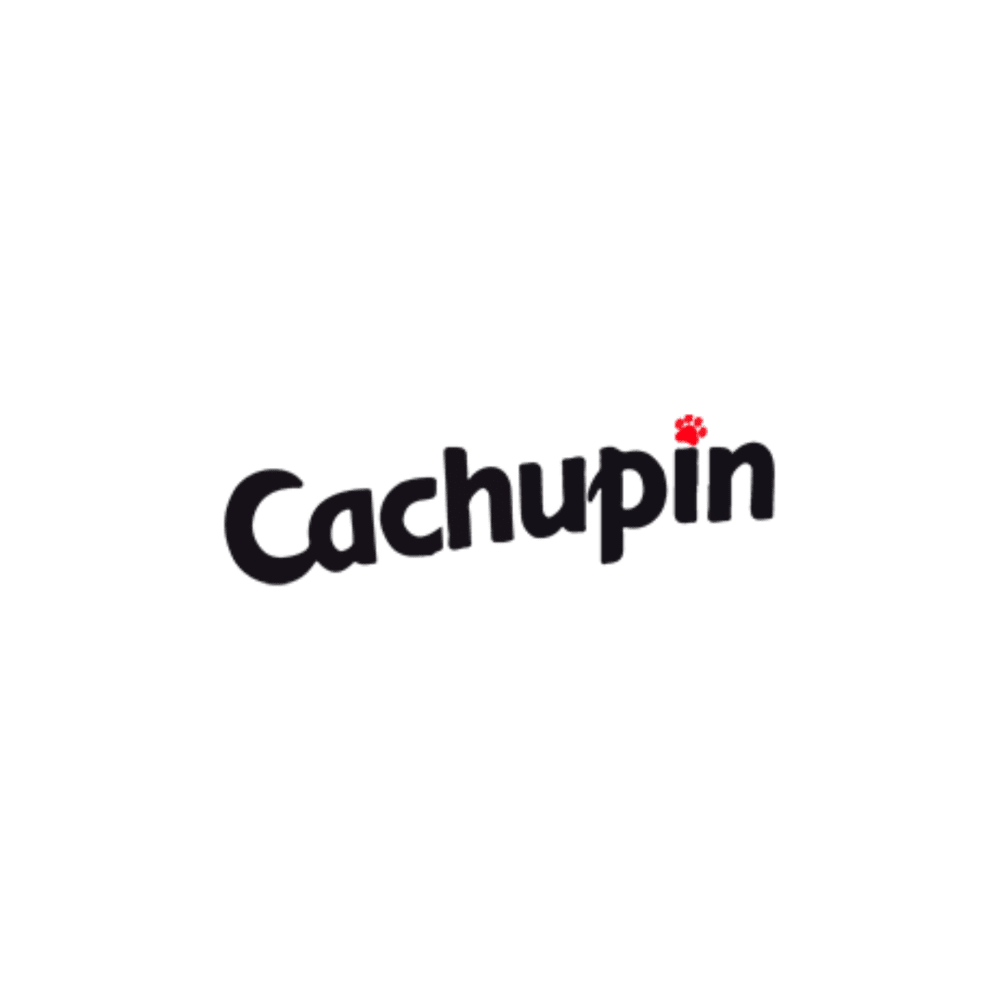 CACHUPIN