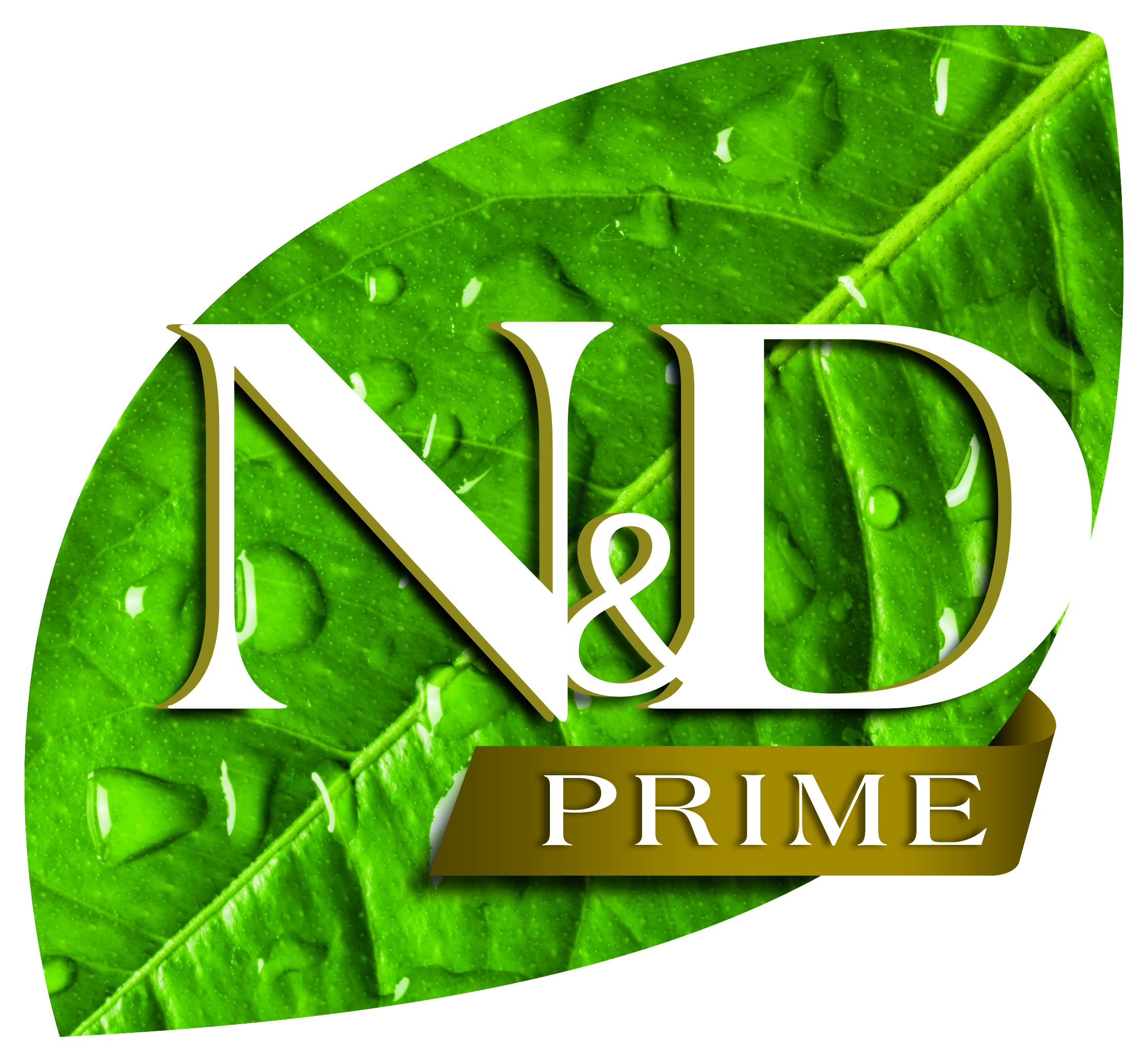 N&D PRIME